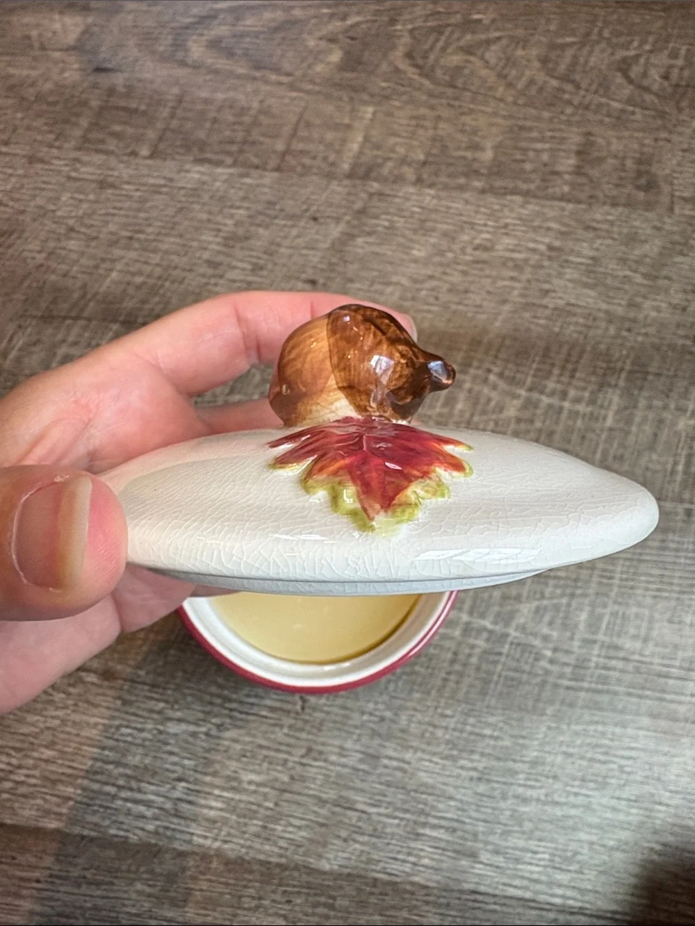 Hallmark Jar Candle Fall Autumn Acorn Thanksgiving Oak NEW